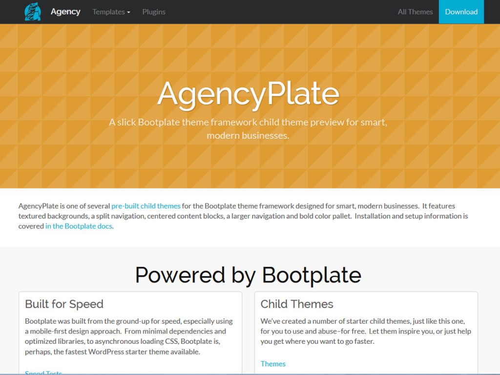 Agency Child Theme